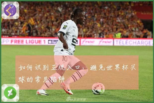 如何识别正规入口，避免世界杯买球的常见陷阱