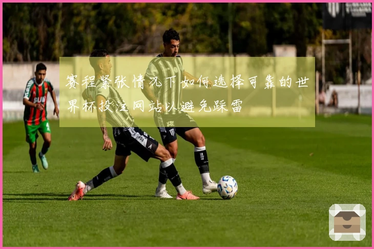 赛程紧张情况下如何选择可靠的世界杯投注网站以避免踩雷