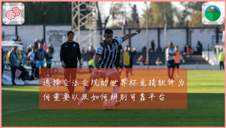 选择合法合规的世界杯竞猜软件为何重要以及如何辨别可靠平台