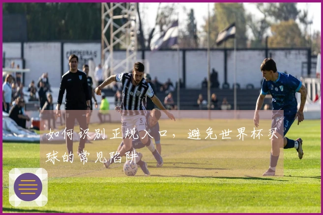 如何识别正规入口，避免世界杯买球的常见陷阱
