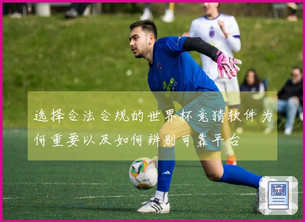 选择合法合规的世界杯竞猜软件为何重要以及如何辨别可靠平台