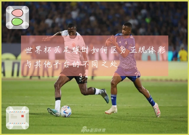世界杯买足球时如何区分正规体彩与其他平台的不同之处